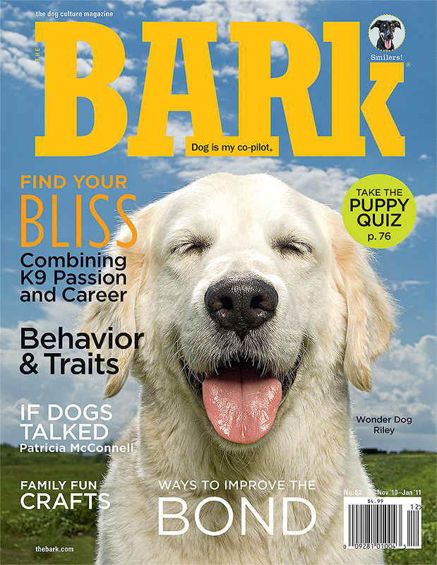 Bark.jpg