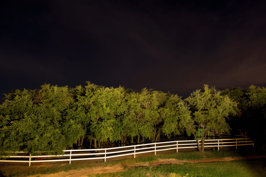 cedar-paddock8947